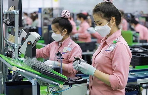 訂單驟減、裁員風暴與轉型陣痛 越南“世界工廠”夢的軟件業挑戰